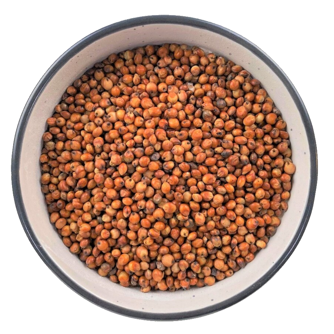 Sorghum Seeds Red Gluten Free Wholesale Bulk