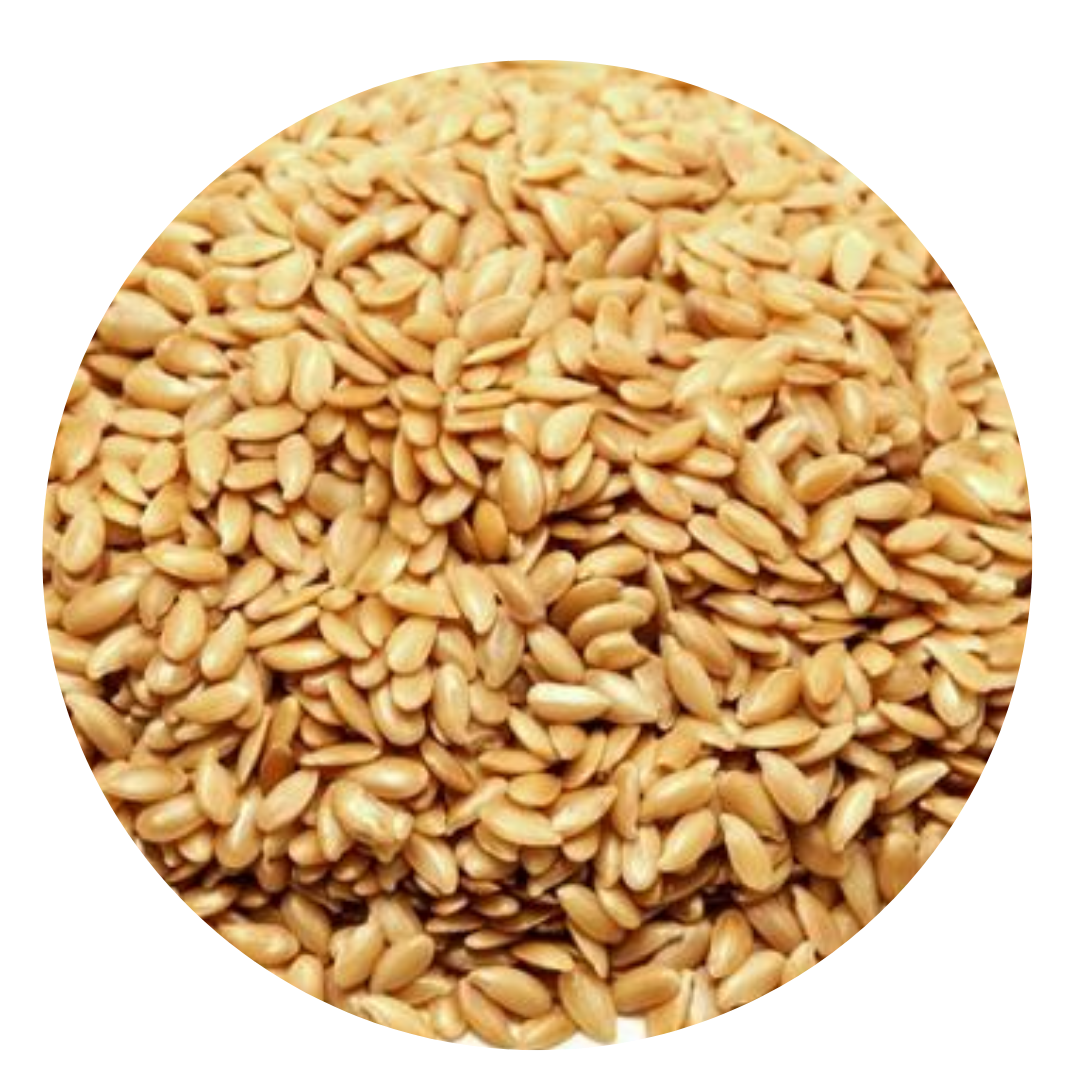 Golden Linseed (Flax)