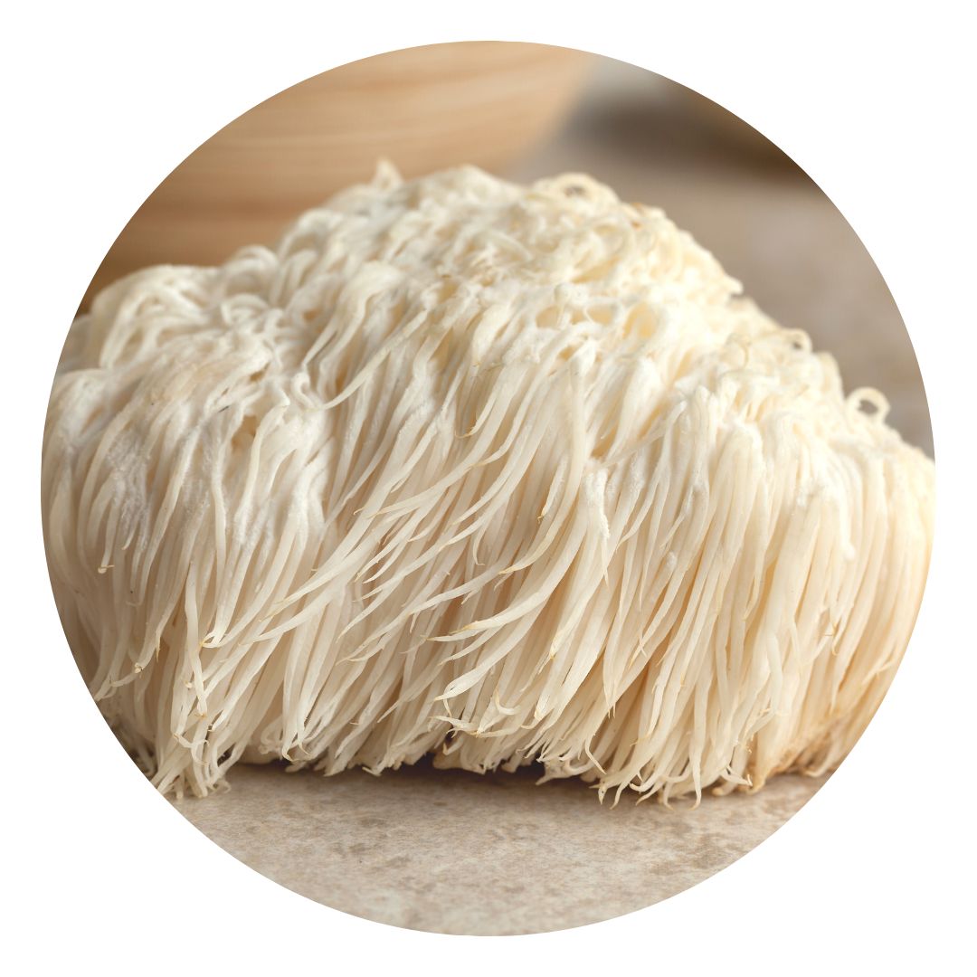 Gluten Free Ingredients in Bulk - Wholesale Supply Australia