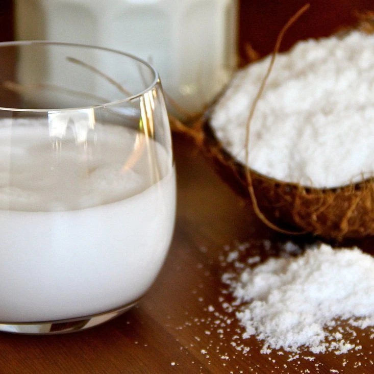 Vegan Coconut Milk Powder – Gluten-Free Bulk (Philippines)