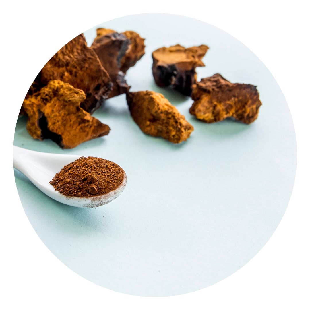 blog-1-1 Organic Chaga Mushroom Powder | Antioxidant-Rich Superfood Gluten-Free