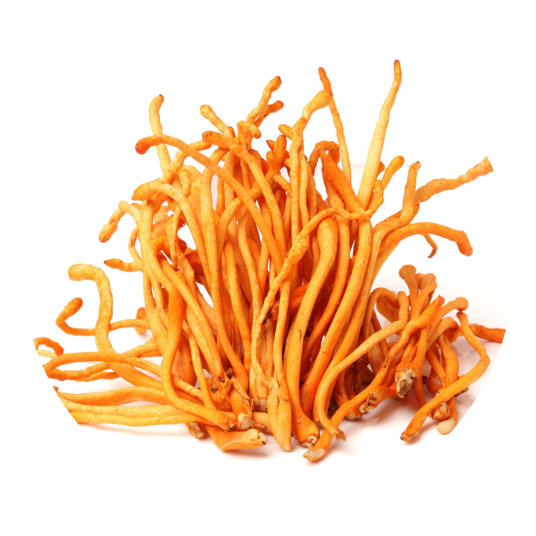 Cordyceps Mushroom Powder Organic