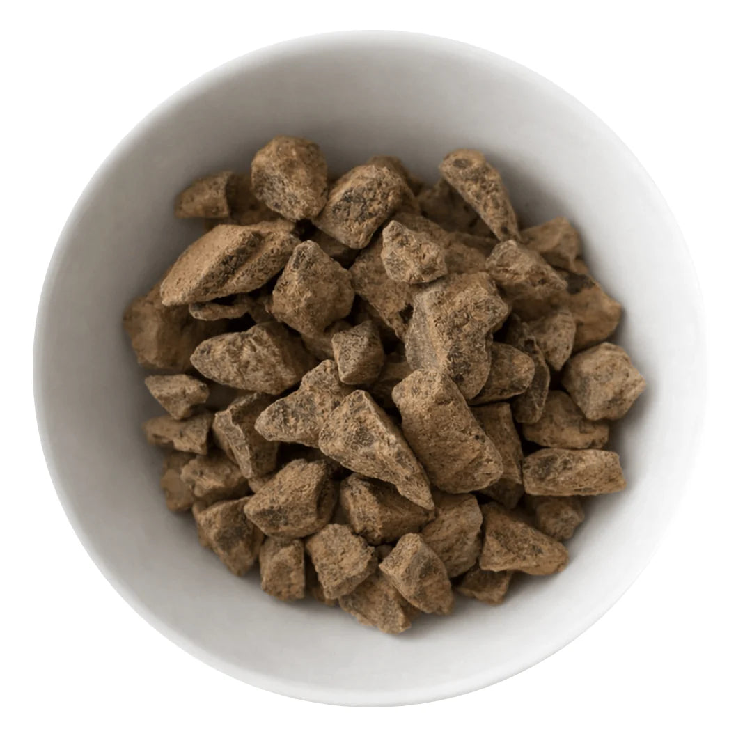 Organic Criollo cacao mass in kibble pieces, gluten-free and suitable for baking or cooking, from Gluten Free Wholesalers.