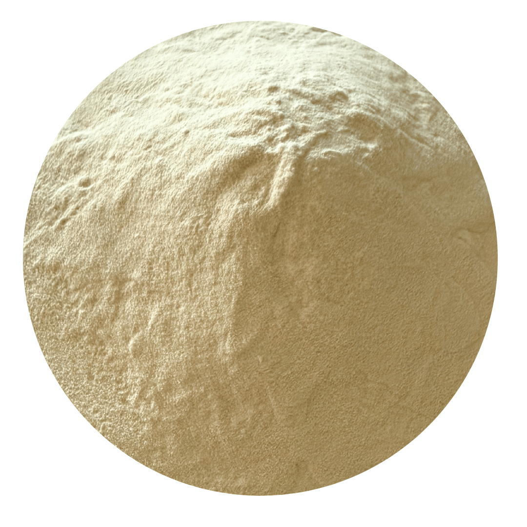 Smooth vanilla plant-based superfood protein powder from Gluten Free Wholesalers Australia, showing a container of vanilla protein powder.