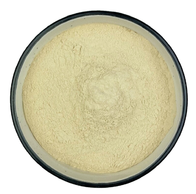 Organic Rice Protein Isolate | Gluten-Free Bulk Supply