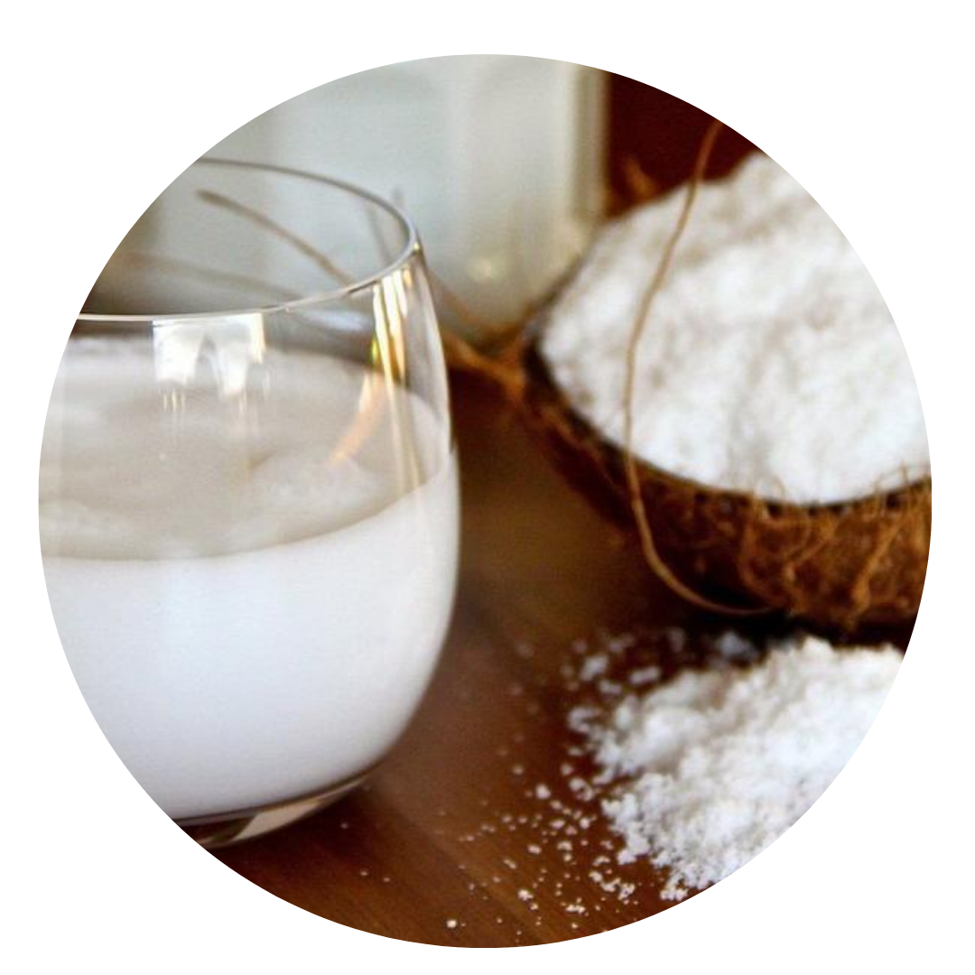 COCONUT MILK POWDER - Dairy Free, Gluten Free, Casein Free PREMIUM Non-GMO BULK 15kg