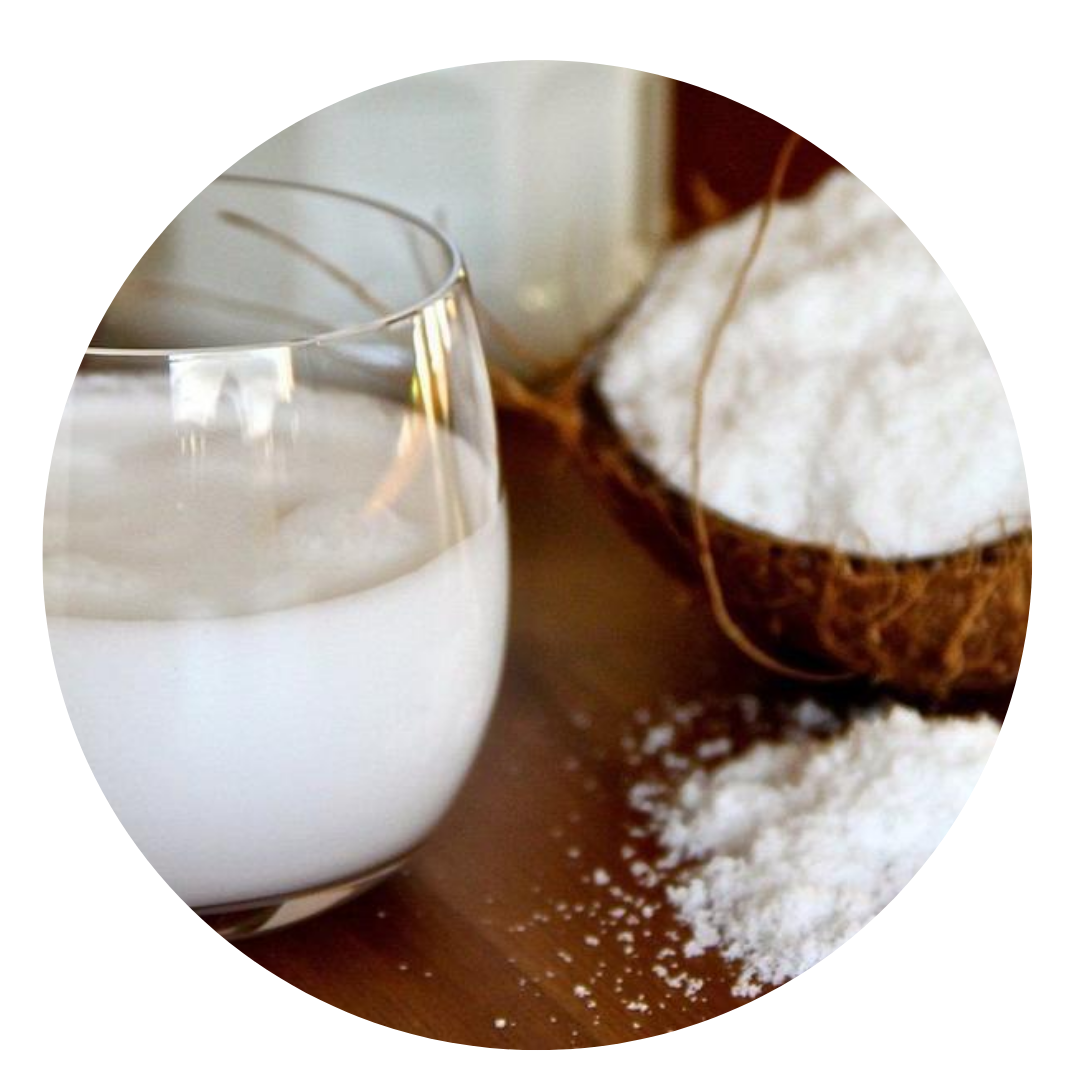 COCONUT MILK POWDER - Dairy Free, Gluten Free, Casein Free PREMIUM Non-GMO BULK 20kg