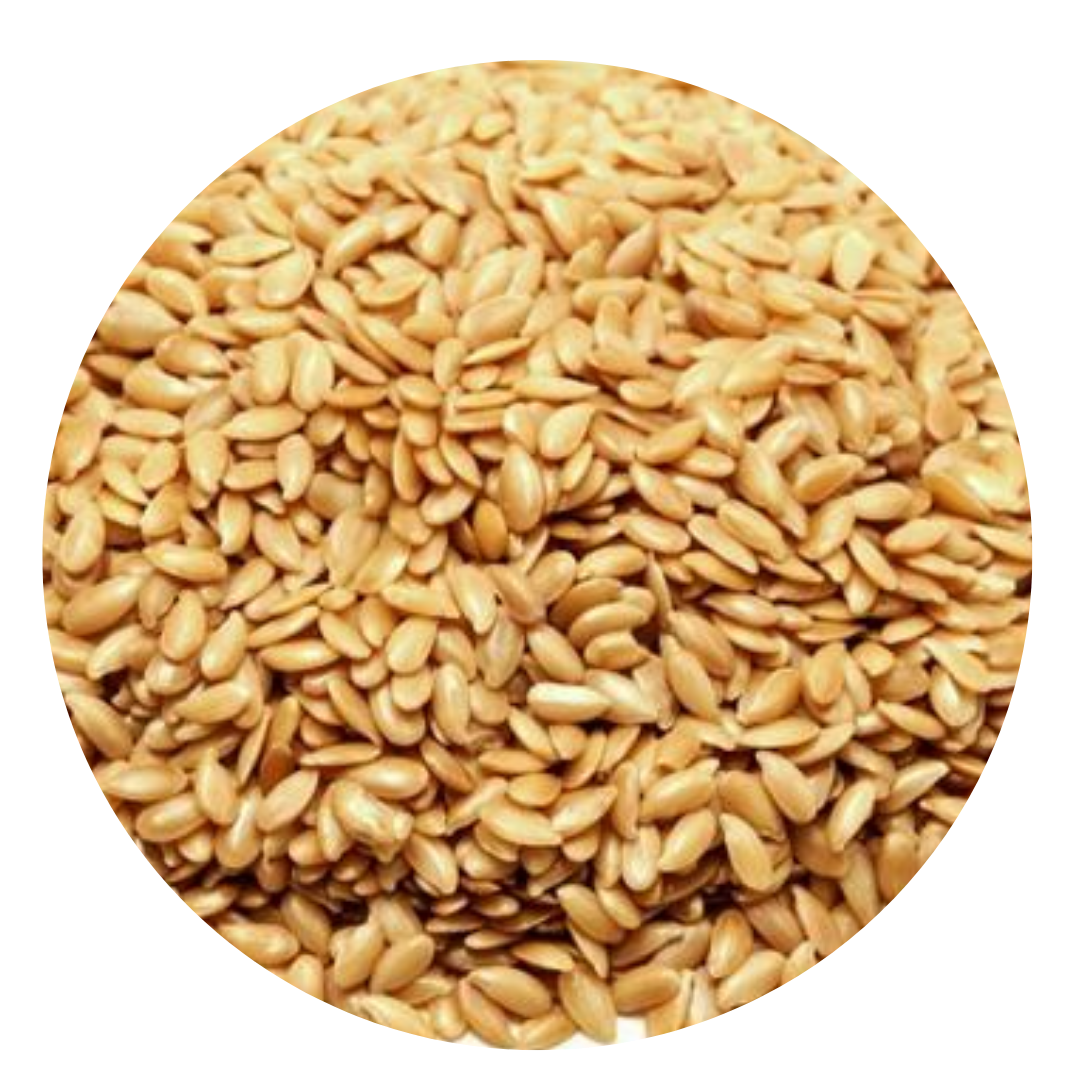 GOLDEN LINSEED Premium New Zealand Gold Flax Seed Non-GMO - BULK 25kg, 5kg