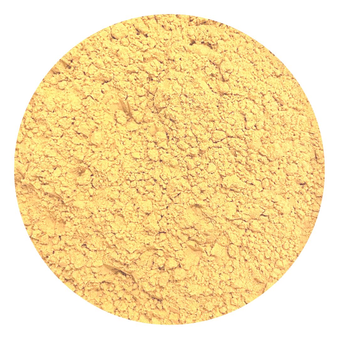 Lions Mane Organic Mushroom Powder 100% Pure & Potent Nootropic - Gluten Free BULK Wholesale 5kg, 1kg