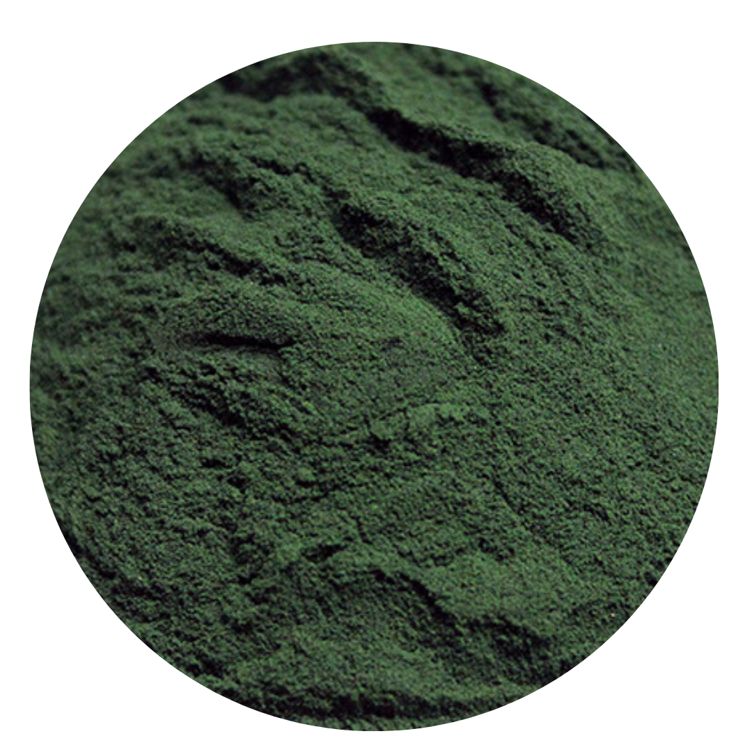 Spirulina Powder Organic - Gluten Free BULK 10kg, 5kg, 1kg